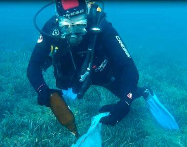X Limpieza de Fondos Submarinos
