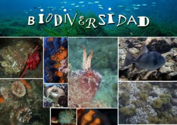 BIODIVERSIDAD, base de nuestra vida.
