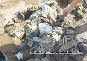 Programa Líderes Medioambientales- Ideas para un futuro mejor