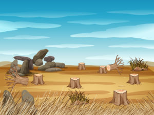 Field with stump trees illustration